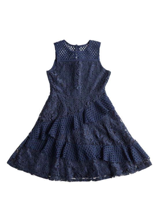 Blush Navy Lace Dress