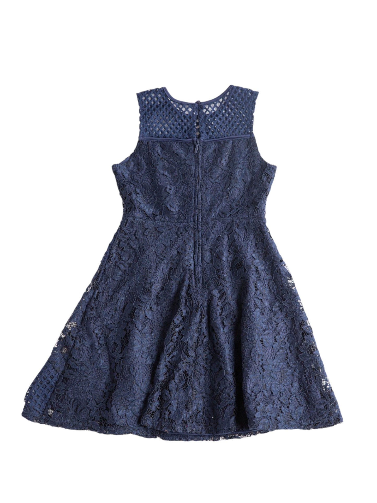 Blush Navy Lace Dress